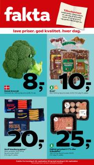 Fakta Tilbud fra 22.09.2022 - Uge 38