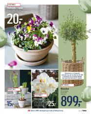 føtex tilbudsavis fra 22.03.2024 Side.56 