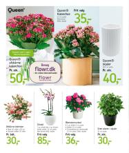 føtex tilbudsavis fra 01.09.2017 Side.50 