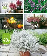 føtex tilbudsavis fra 01.09.2017 Side.51 