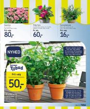 føtex tilbudsavis fra 03.06.2016 Side.19 