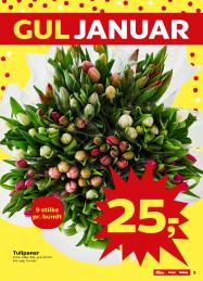 Kvickly tilbudsavis fra 09.01.2026 Side.3 