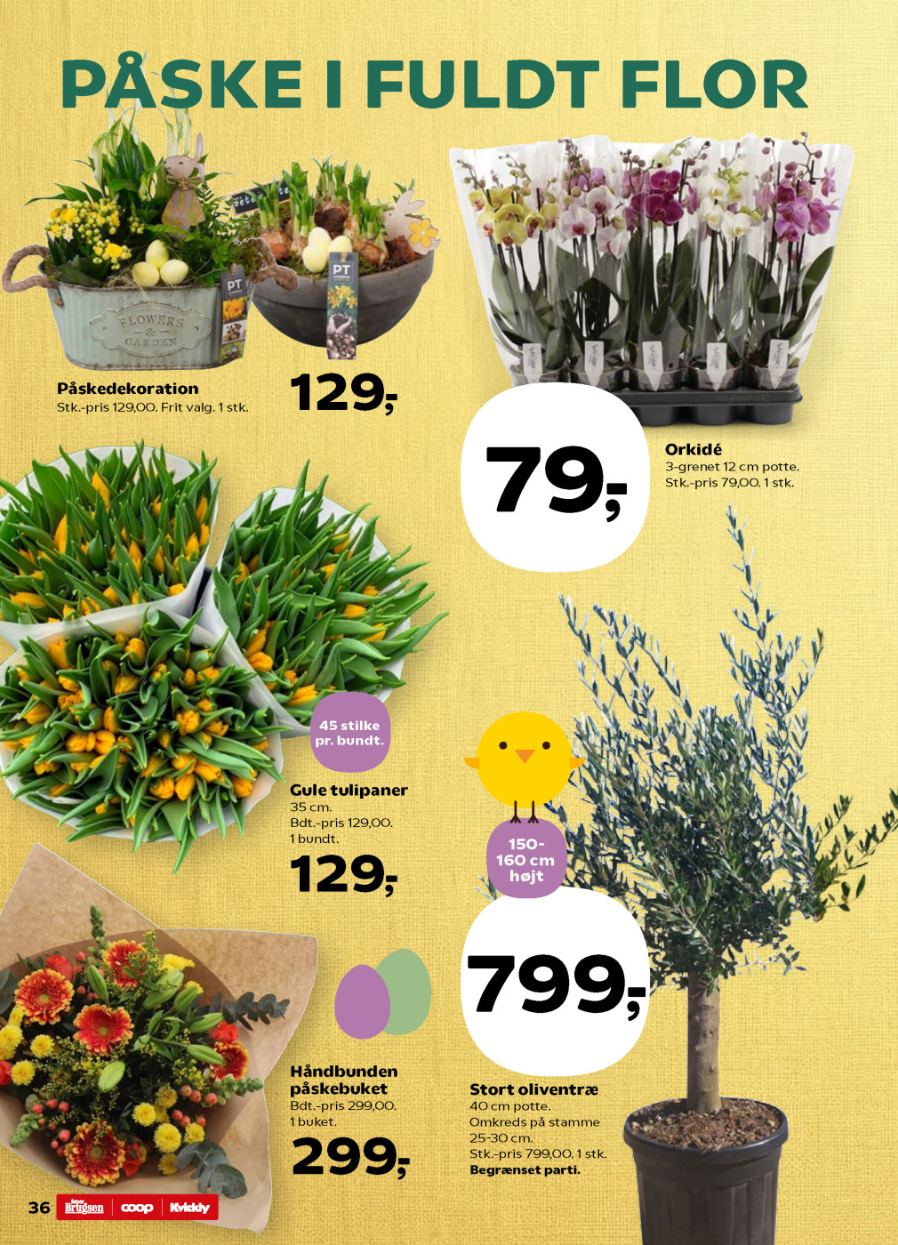 Kvickly tilbudsavis fra 27.03.2026 Side.37 