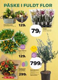 Kvickly tilbudsavis fra 27.03.2026 Side.37 