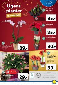 Lidl tilbudsavis fra 08.12.2024 Side.35 