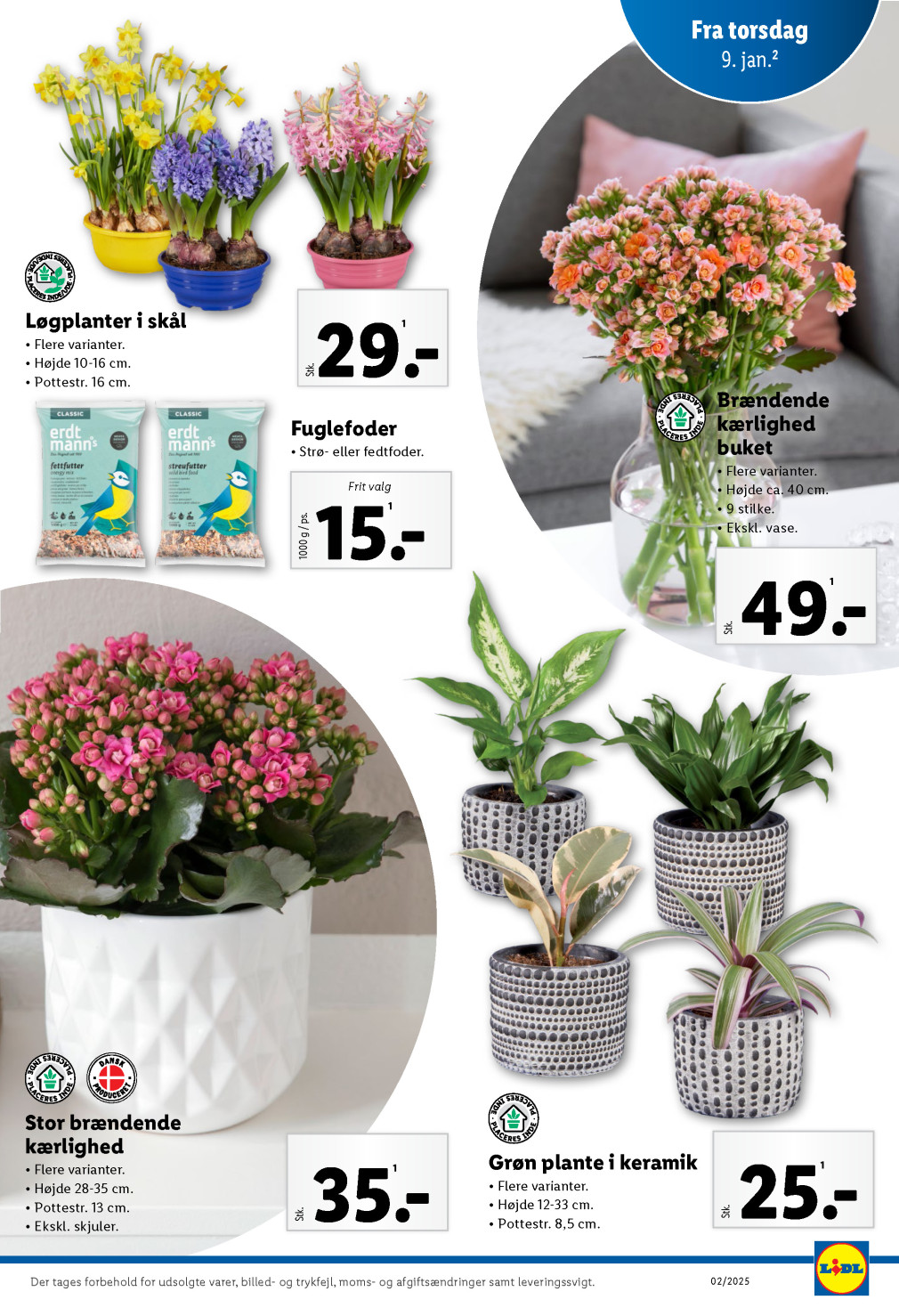 Lidl tilbudsavis fra 05.01.2025 Side.29 
