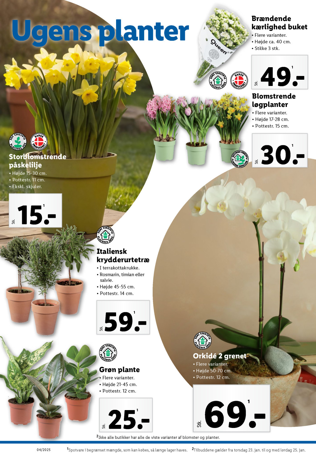 Lidl tilbudsavis fra 19.01.2025 Side.34 