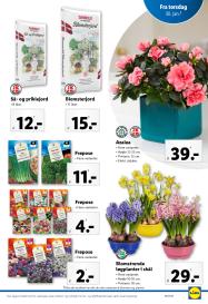 Lidl tilbudsavis fra 26.01.2025 Side.35 