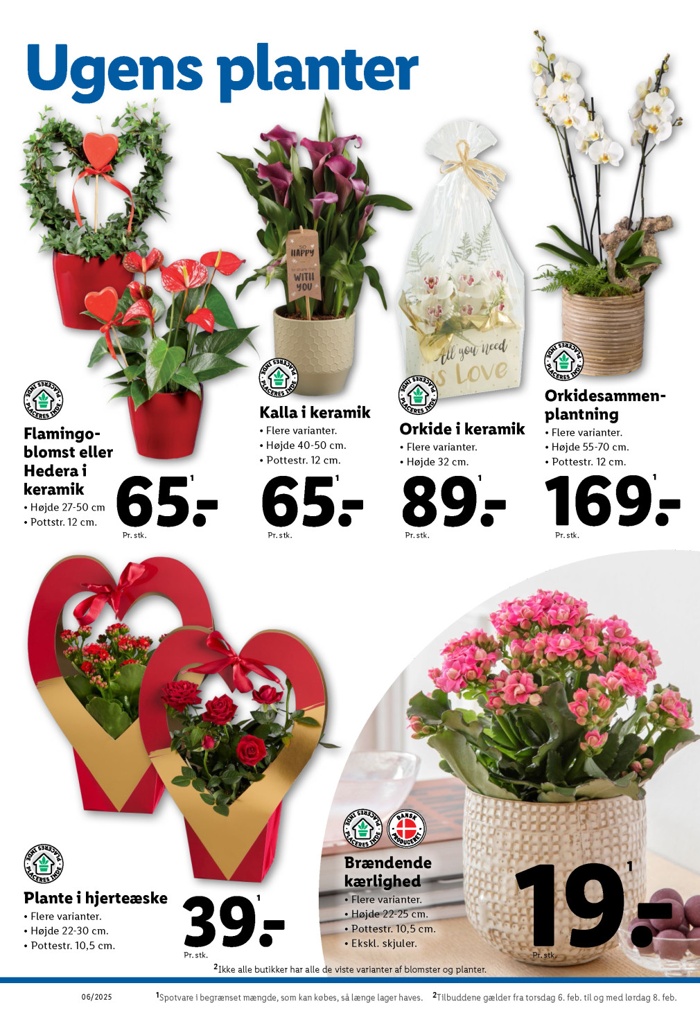 Lidl tilbudsavis fra 02.02.2025 Side.34 