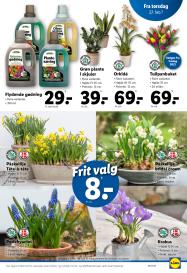 Lidl tilbudsavis fra 23.02.2025 Side.35 