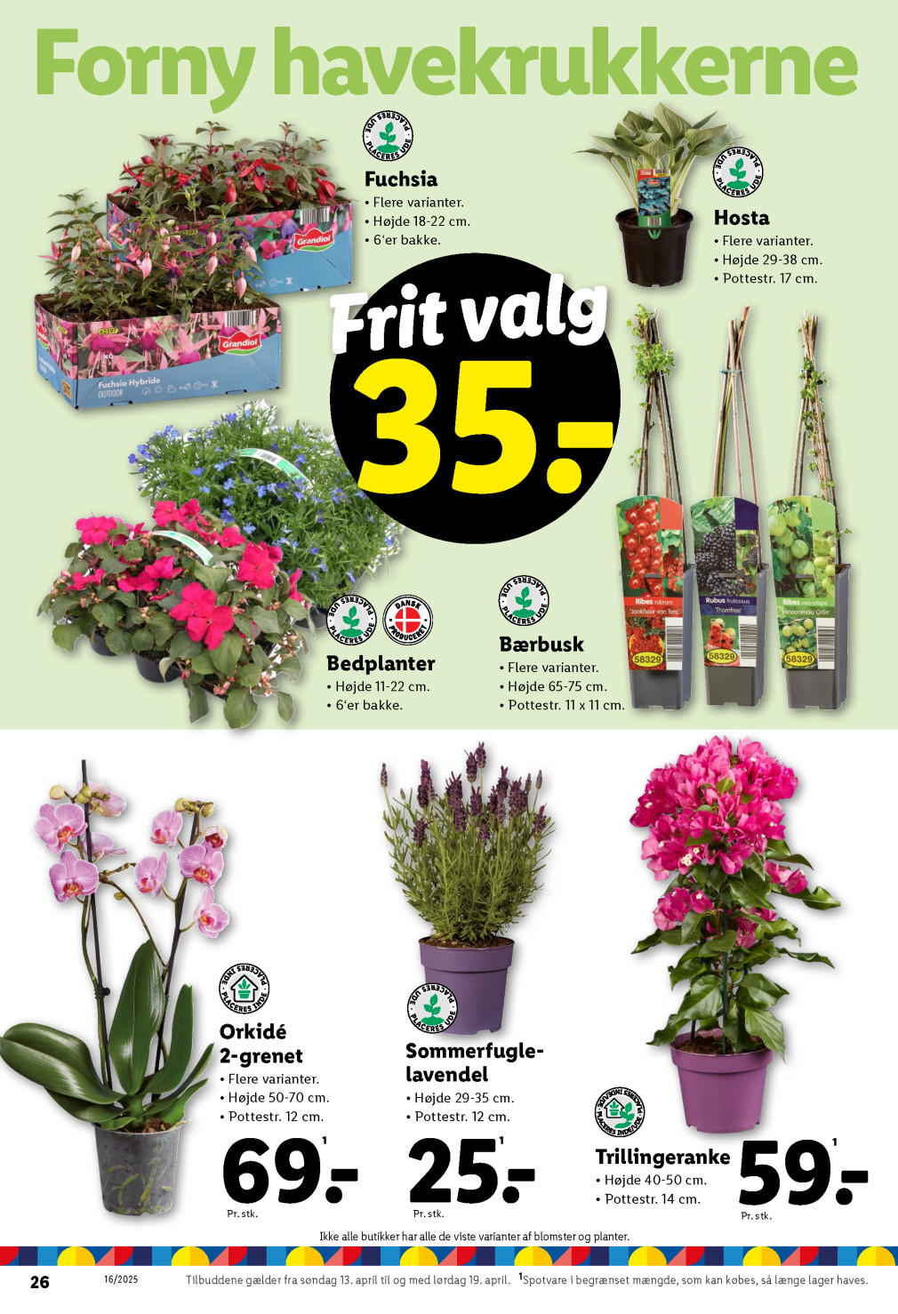 Lidl tilbudsavis fra 13.04.2025 Side.26 