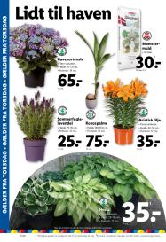 Lidl tilbudsavis fra 18.05.2025 Side.32 