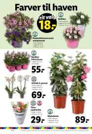 Lidl tilbudsavis fra 25.05.2025 Side.16 