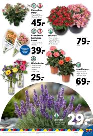 Lidl tilbudsavis fra 25.05.2025 Side.17 