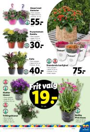 Lidl tilbudsavis fra 01.06.2025 Side.33 