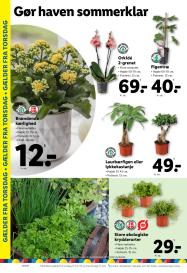 Lidl tilbudsavis fra 10.06.2025 Side.31 