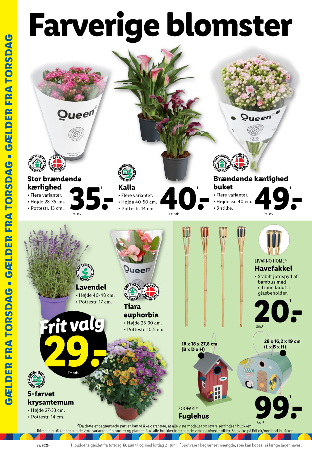 Lidl tilbudsavis fra 15.06.2025 Side.36 