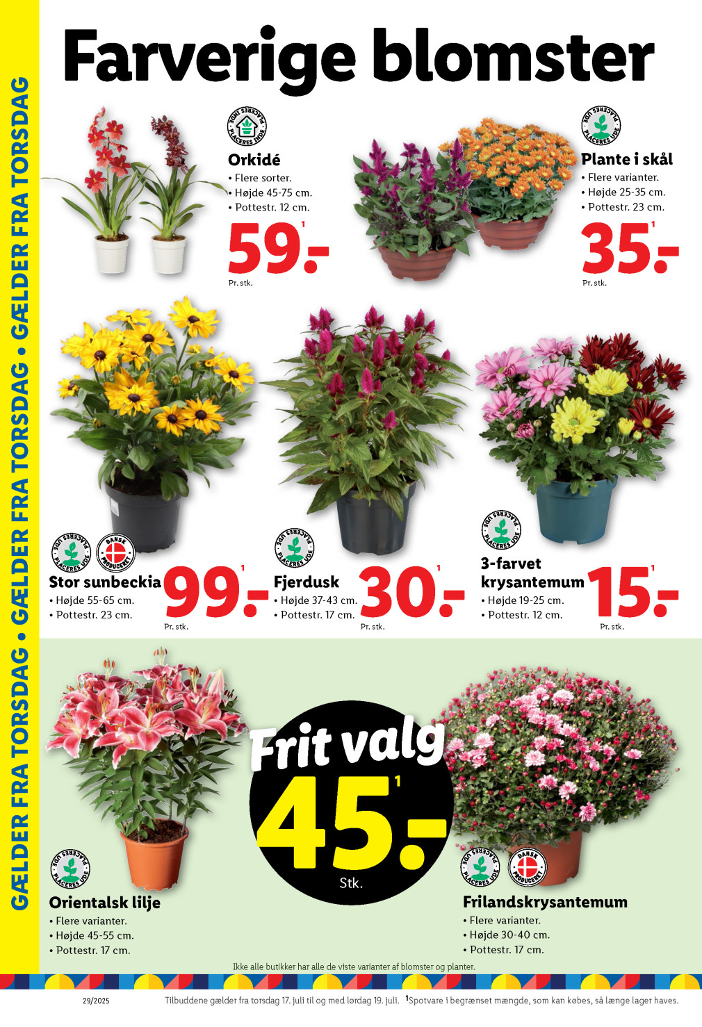 Lidl tilbudsavis fra 13.07.2025 Side.34 