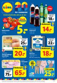 Lidl tilbudsavis fra 20.07.2025 Side.1 