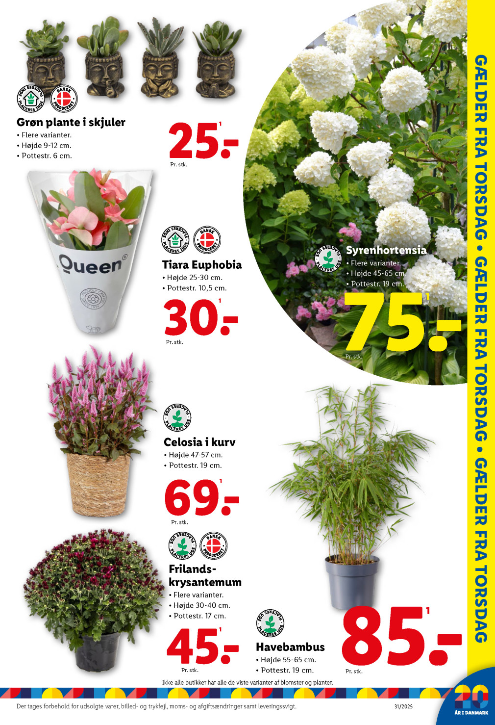 Lidl tilbudsavis fra 27.07.2025 Side.36 