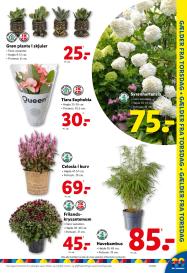 Lidl tilbudsavis fra 27.07.2025 Side.36 