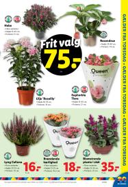 Lidl tilbudsavis fra 03.08.2025 Side.37 