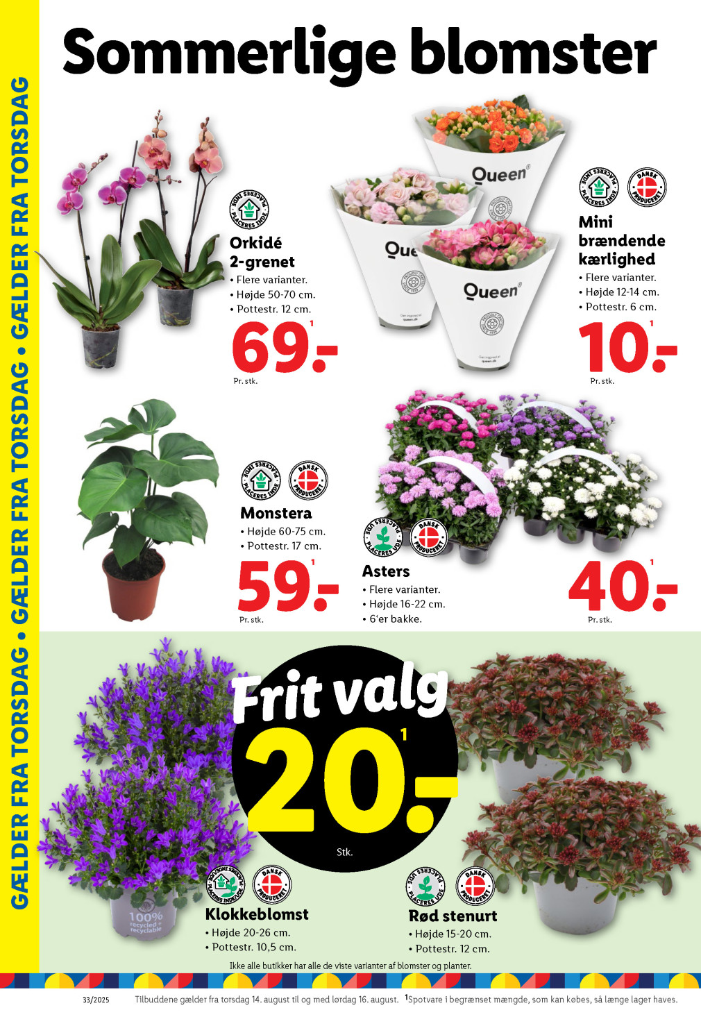 Lidl tilbudsavis fra 10.08.2025 Side.24 