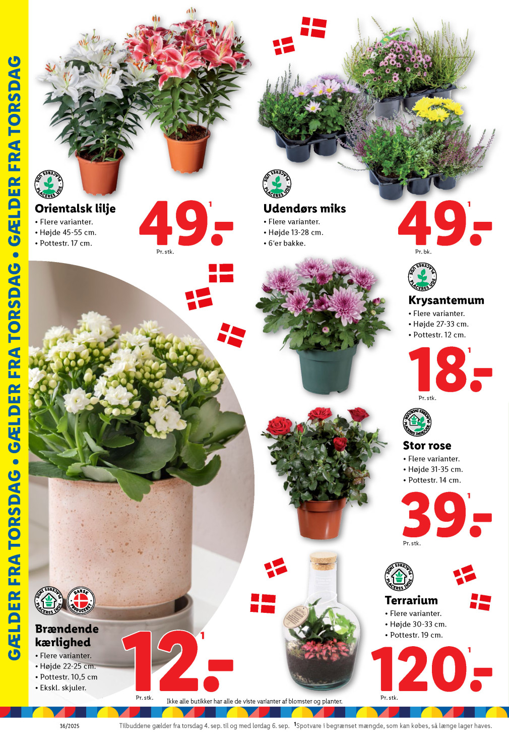 Lidl tilbudsavis fra 31.08.2025 Side.34 