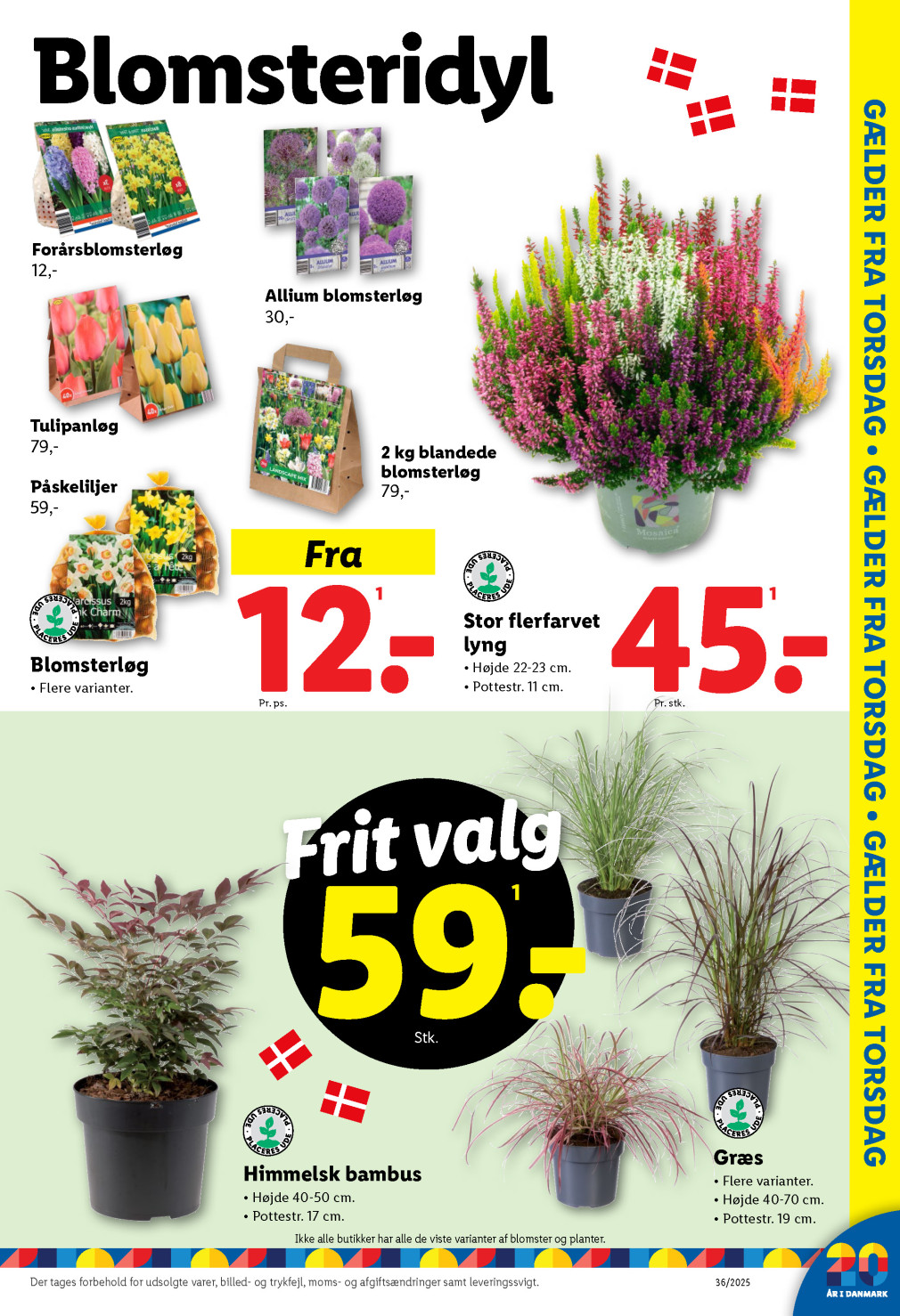 Lidl tilbudsavis fra 31.08.2025 Side.35 