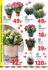 Lidl tilbudsavis fra 31.08.2025 Side.34 