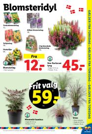 Lidl tilbudsavis fra 31.08.2025 Side.35 