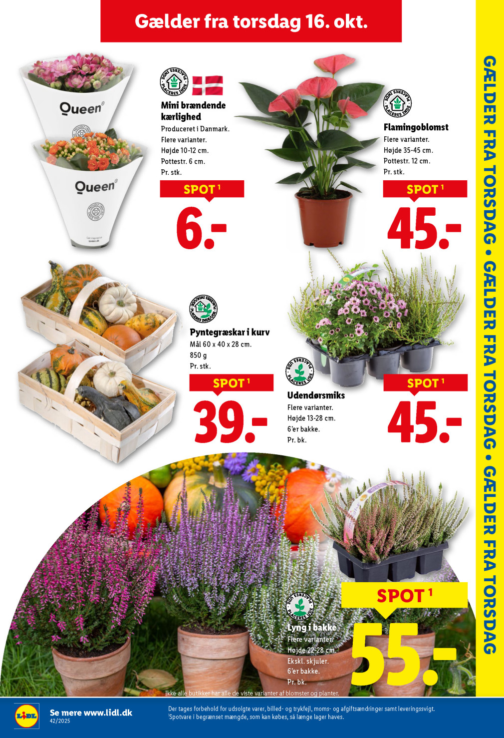 Lidl tilbudsavis fra 12.10.2025 Side.29 
