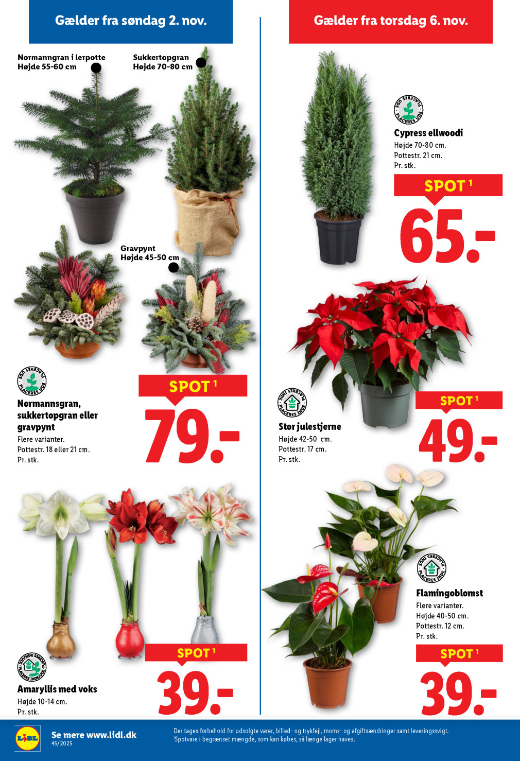 Lidl tilbudsavis fra 02.11.2025 Side.31 