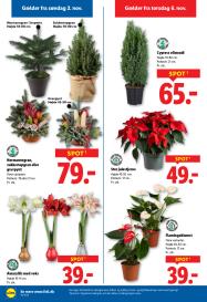 Lidl tilbudsavis fra 02.11.2025 Side.31 