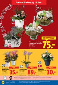 Lidl tilbudsavis fra 27.12.2025 Side.34 