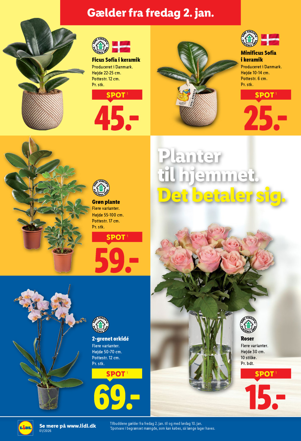 Lidl tilbudsavis fra 02.01.2026 Side.36 