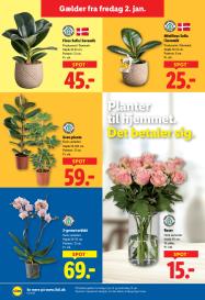 Lidl tilbudsavis fra 02.01.2026 Side.36 