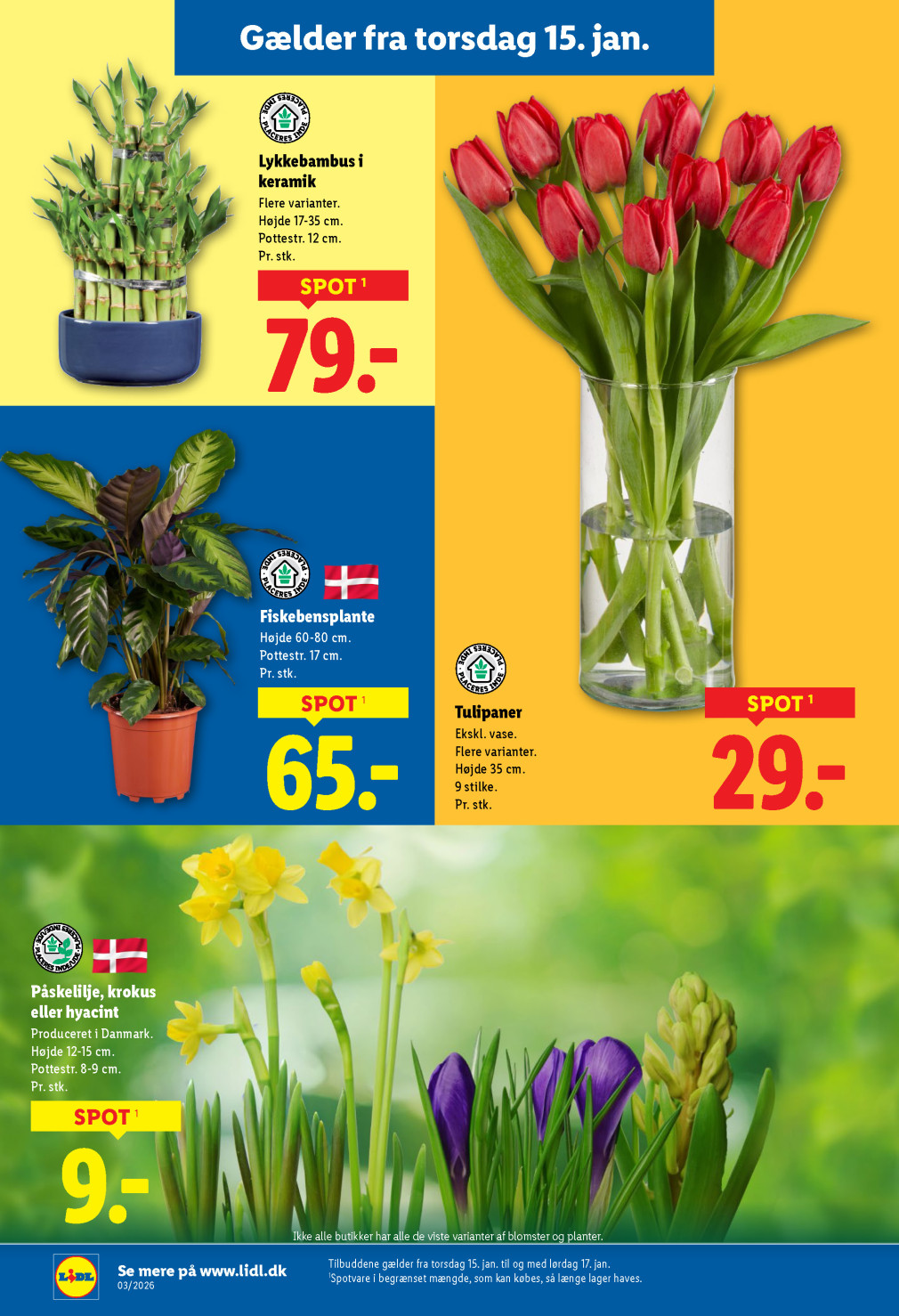 Lidl tilbudsavis fra 11.01.2026 Side.32 