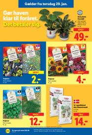 Lidl tilbudsavis fra 25.01.2026 Side.31 