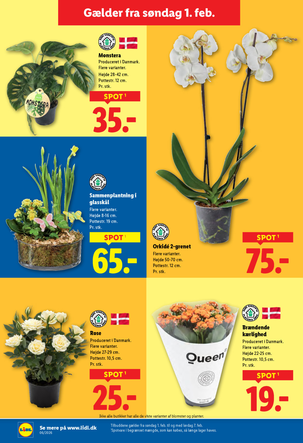 Lidl tilbudsavis fra 01.02.2026 Side.24 