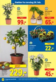 Lidl tilbudsavis fra 22.02.2026 Side.34 