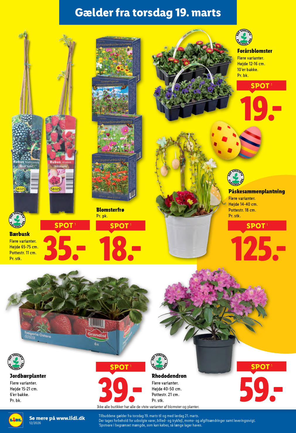 Lidl tilbudsavis fra 15.03.2026 Side.31 