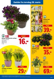 Lidl tilbudsavis fra 22.03.2026 Side.23 