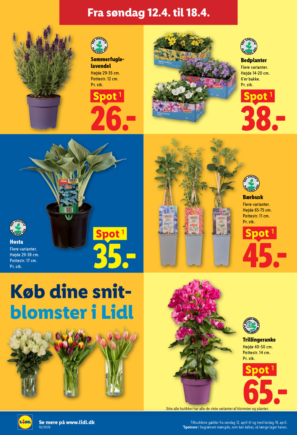 Lidl tilbudsavis fra 12.04.2026 Side.31 
