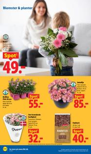 Lidl tilbudsavis fra 26.05.2026 Side.36 