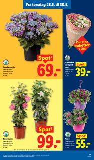 Lidl tilbudsavis fra 26.05.2026 Side.37 