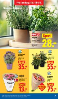 Lidl tilbudsavis fra 31.05.2026 Side.32 