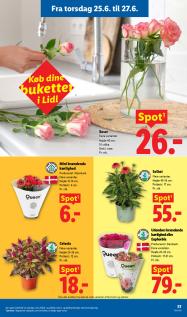 Lidl tilbudsavis fra 21.06.2026 Side.34 