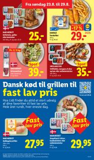 Lidl tilbudsavis fra 23.08.2026 Side.9 