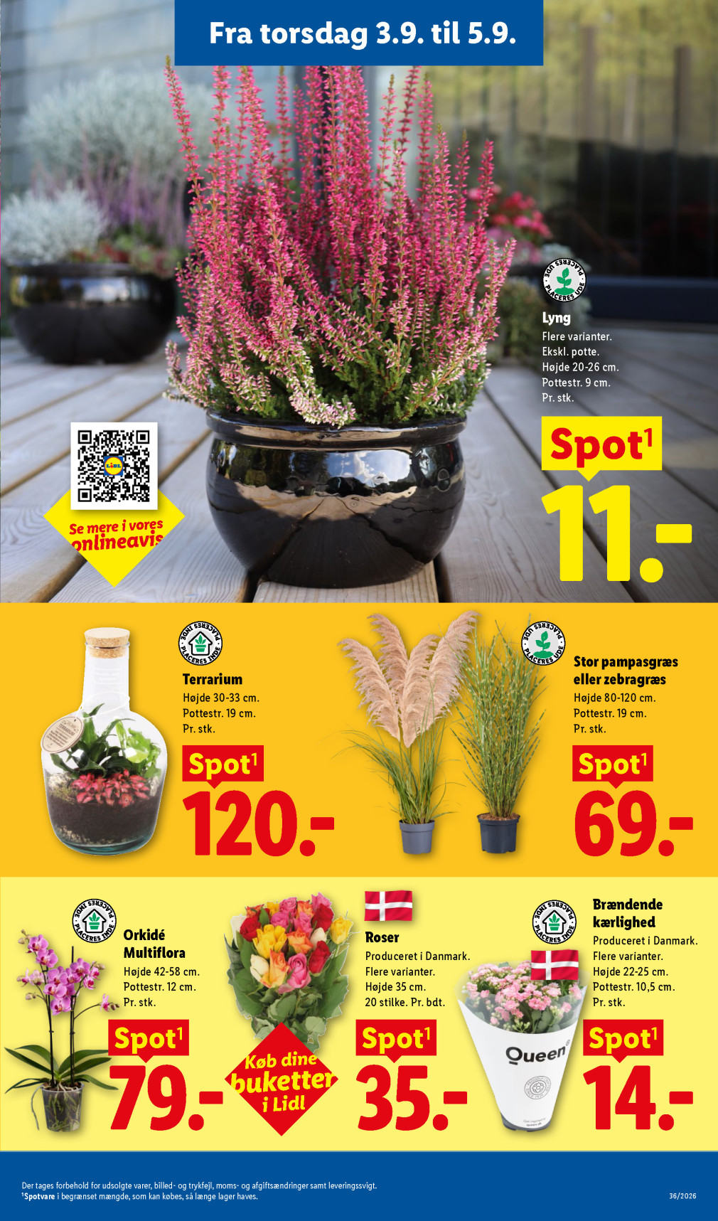 Lidl tilbudsavis fra 30.08.2026 Side.33 